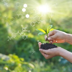 iStock 1182619005 copy